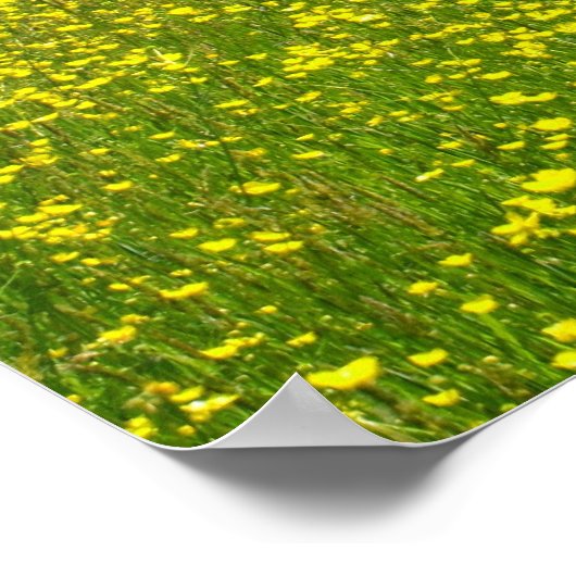 完全開花 ポスター (角)