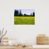 完全開花 ポスター (キッチン)