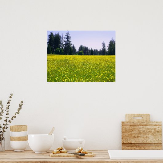 完全開花 ポスター (キッチン)