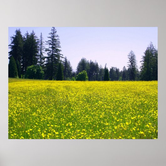 完全開花 ポスター (正面)