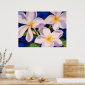 完全開花 ポスター (キッチン)