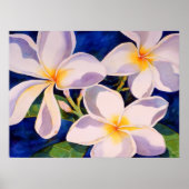 完全開花 ポスター (正面)