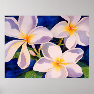 完全開花 ポスター