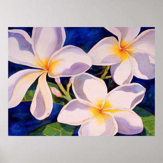 完全開花 ポスター (正面)