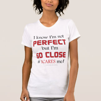 完全 Tシャツ
