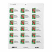 完熟した ラベル (フルシート)