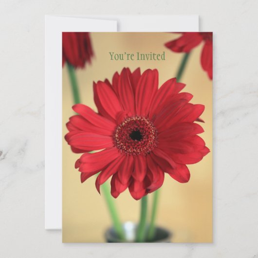 完璧かわいらし 招待状 (正面)