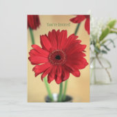 完璧かわいらし 招待状 (スタンド正面)