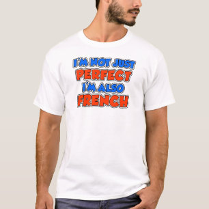 完璧ではないフランスの Tシャツ