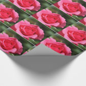 完璧で素敵な夏の熱いピンクのバラの花写真 ラッピングペーパー (角)