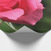 完璧で素敵な夏の熱いピンクのバラの花写真 ラッピングペーパー (角)