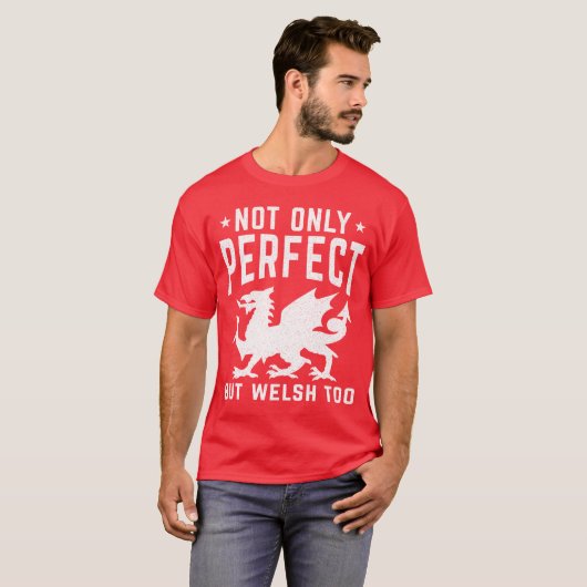 完璧なだけでなく、ウェールズおもしろいも Tシャツ (正面フル)