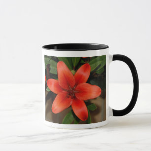 完璧なオレンジリリーの花 マグカップ