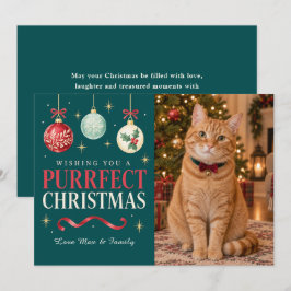 完璧なクリスマスの猫の写真 シーズンカード