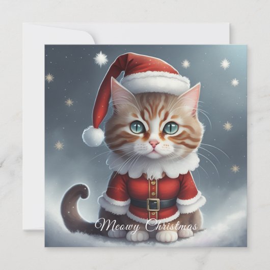 完璧なクリスマスを過ごす~ニャー^-^ (正面)