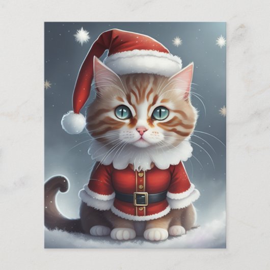 完璧なクリスマスを過ごす～ニャー^-^ (正面)