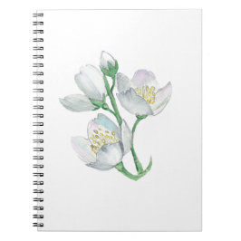 完璧なコンパニオン:最高のすべての人のためのノートパソコン ノートブック