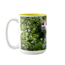 完璧なコーヒーカップ