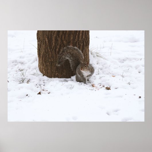 完璧なショットのためのポーズ ポスター (正面)