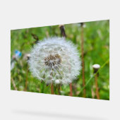 完璧なタンポポ - 植物のマクロフォトグラフィー アクリルサイン (傾斜)