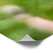完璧なタンポポ – 植物のマクロフォトグラフィー ポスター (角)