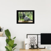 完璧なハト ポスター (ホームオフィス)