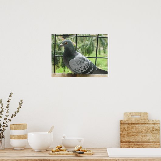 完璧なハト ポスター (キッチン)