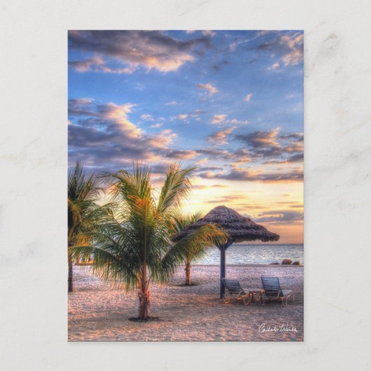 完璧なビーチ ポストカード (正面)