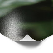 完璧なピンクのバラの花とバドの写真アート作品。 フォトプリント            (角)