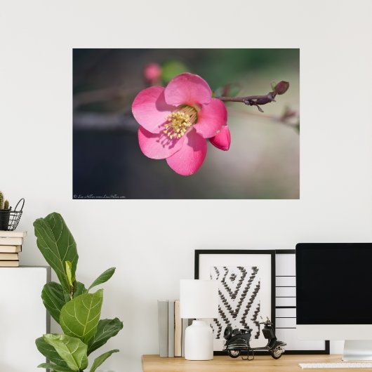 完璧なピンクの開花の香り ポスター (ホームオフィス)