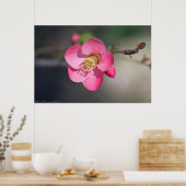 完璧なピンクの開花の香り ポスター (キッチン)