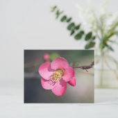 完璧なピンクの開花の香り ポストカード (スタンド正面)