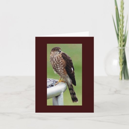 完璧なプロファイル カード (正面)