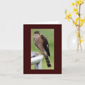 完璧なプロファイル カード (黄色い花)