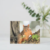 完璧なポーズ ポストカード (スタンド正面)