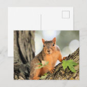 完璧なポーズ ポストカード (正面/裏面)