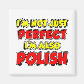 完璧なポーランドのマグネットではない マグネット (正面)