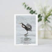 完璧なランディングブルーヘロンギフト ポストカード (スタンド正面)