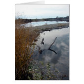 完璧な反射 (正面)