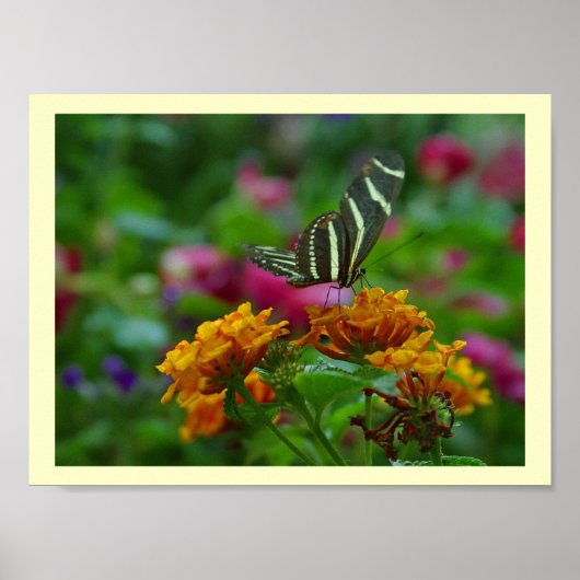 完璧な場所！ポスター ポスター (正面)