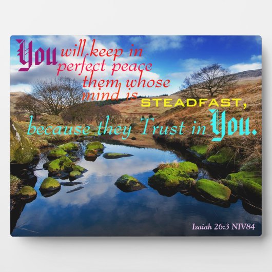 完璧な平和プラーク。 フォトプラーク (正面)