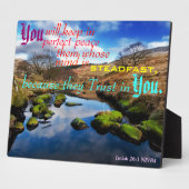 完璧な平和プラーク。 フォトプラーク (側面)