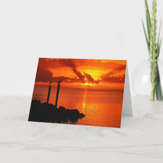 完璧な平和 カード