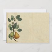 完璧な梨ペアの果樹園、納屋、ファーム結婚ズ 招待状 (裏面)