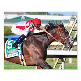 完璧な歌 フォトプリント           