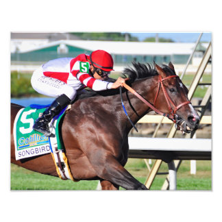 完璧な歌 フォトプリント           