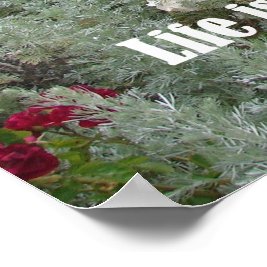 完璧な瞬間が満載の庭の花のポスター ポスター (角)