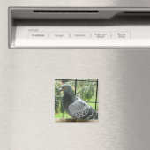 完璧な鳩 マグネット (インサイチュ (食洗機))