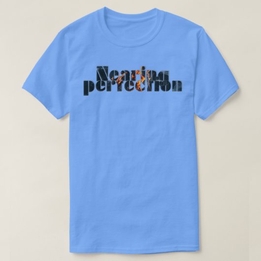 完璧に近い Tシャツ (デザイン正面)