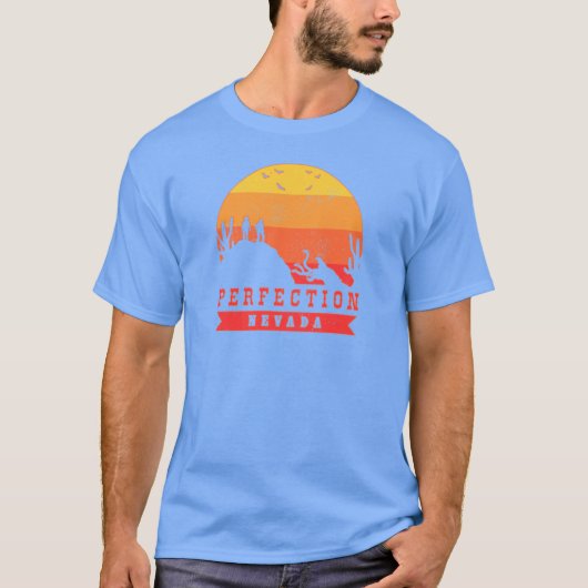 完璧 Tシャツ (正面)